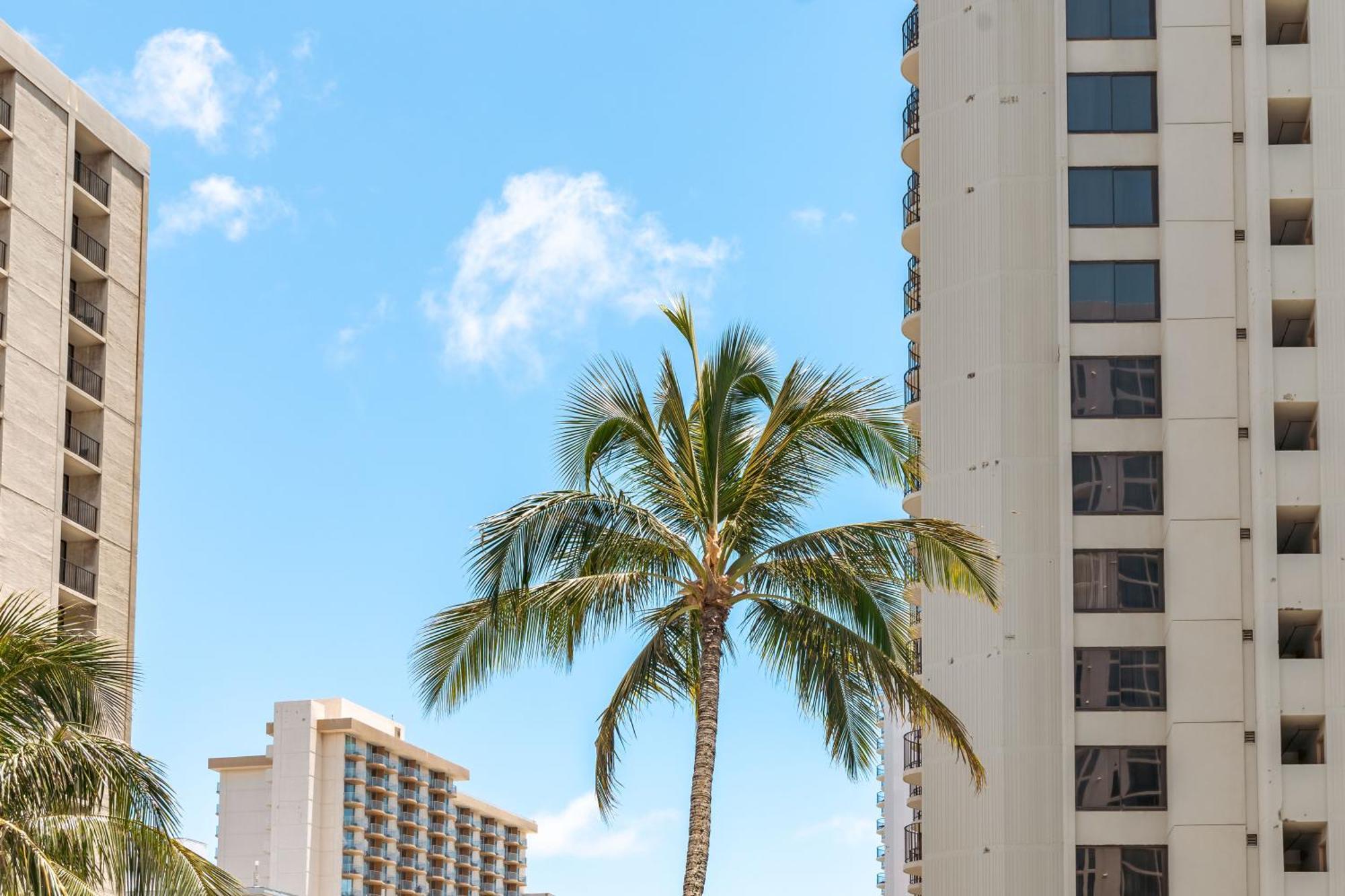 Mountain View Condo Near Beach With Free Parking! Honolulu Exterior photo